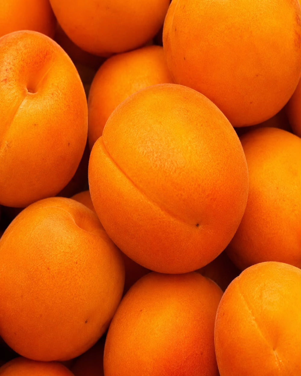 A close-up pile of ripe, bright orange apricots filling the frame.