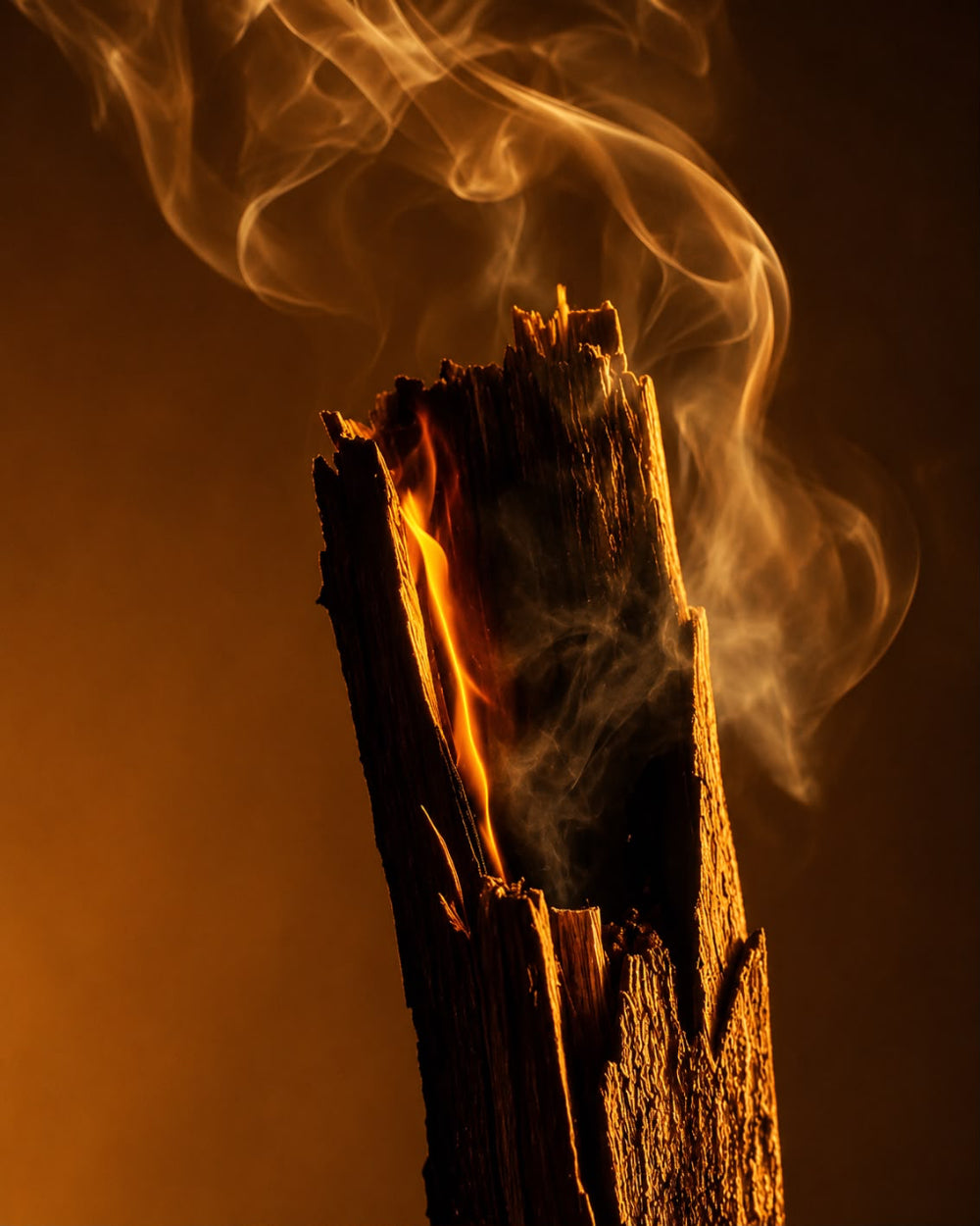 A close-up dramatic shot of a burning piece of wood with bright orange flames and swirling smoke against a dark brown background.