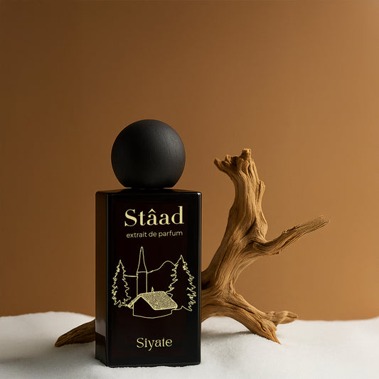 Stâad