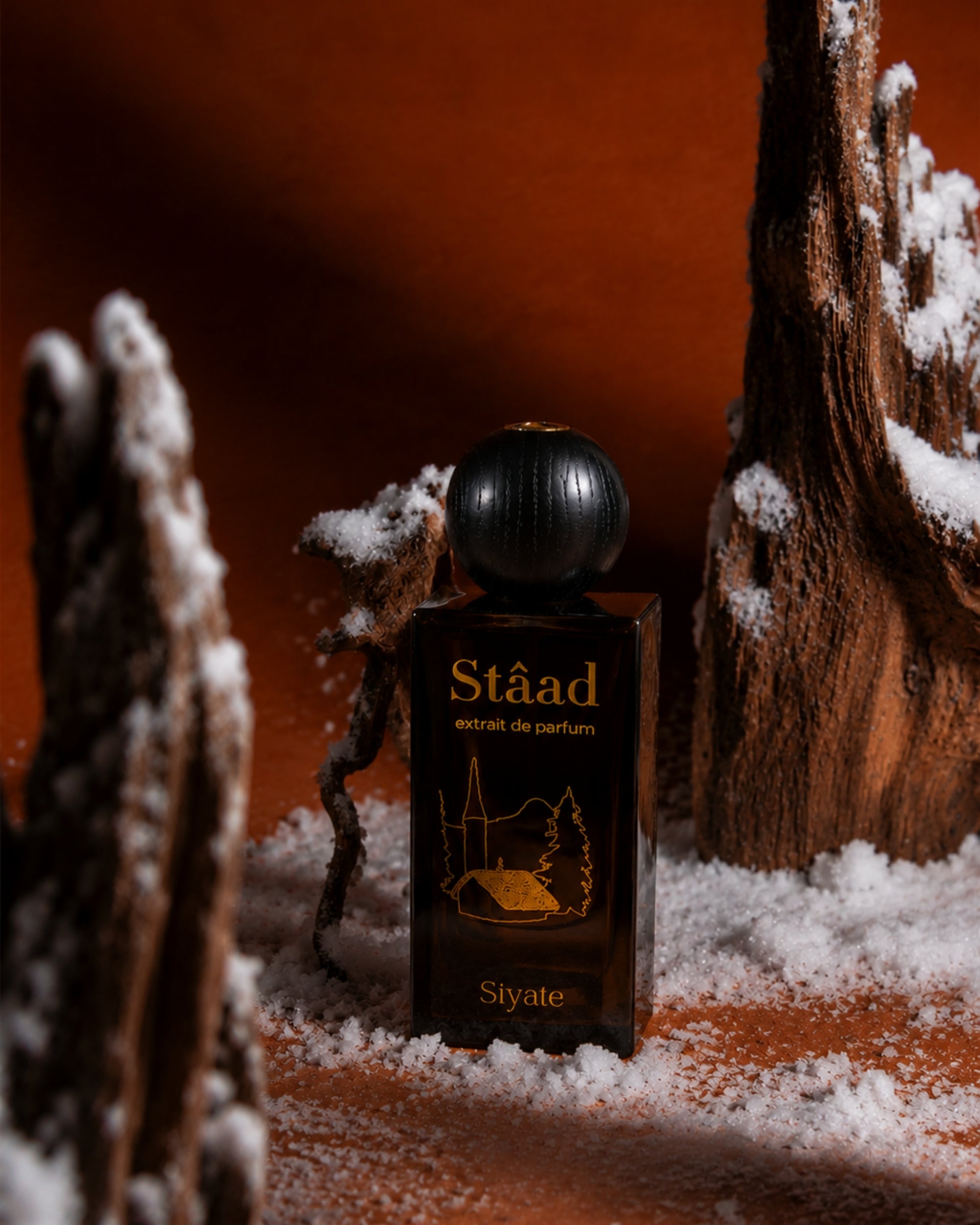 A dark glass perfume bottle labeled 'Ståad extrait de parfum' and 'Styate' stands on a snowy surface between textured wood props against a warm orange-brown background.