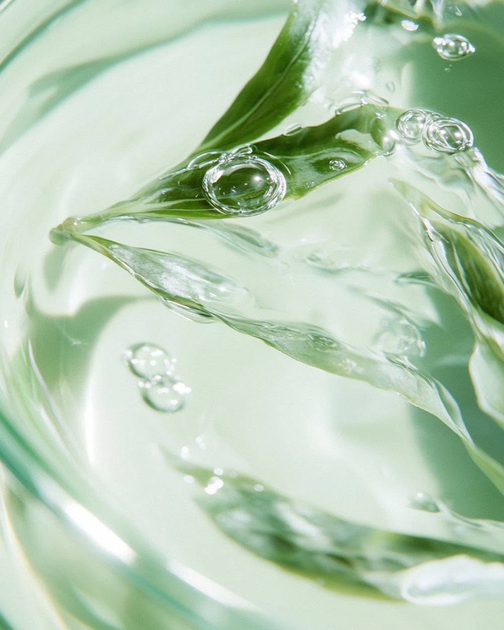 Close-up of water droplets on a leaf with a light green background
