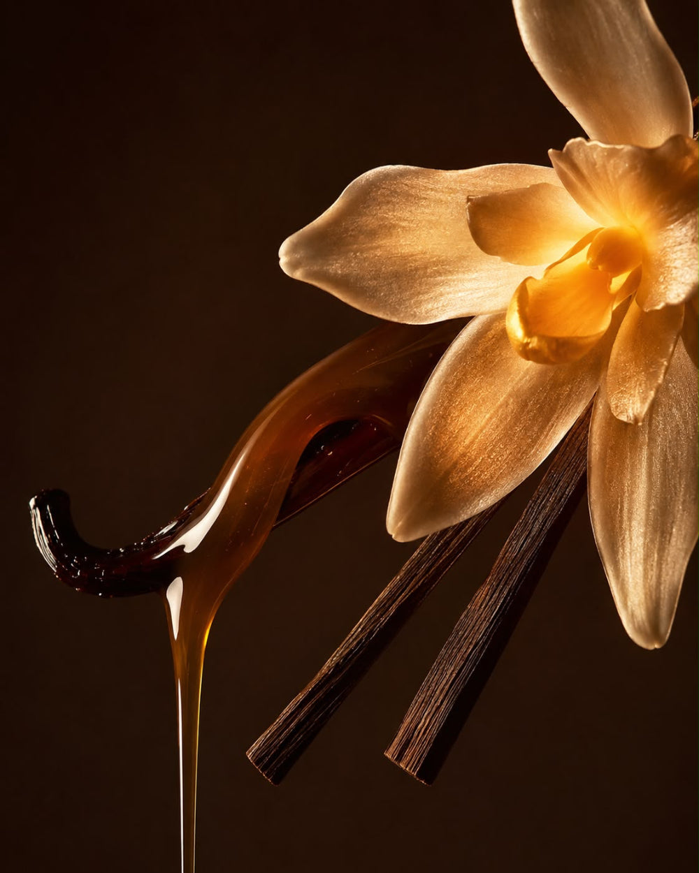 A close-up studio shot of a vanilla orchid flower with amber honey dripping from a spoon, alongside two vanilla bean sticks, against a dark brown background.